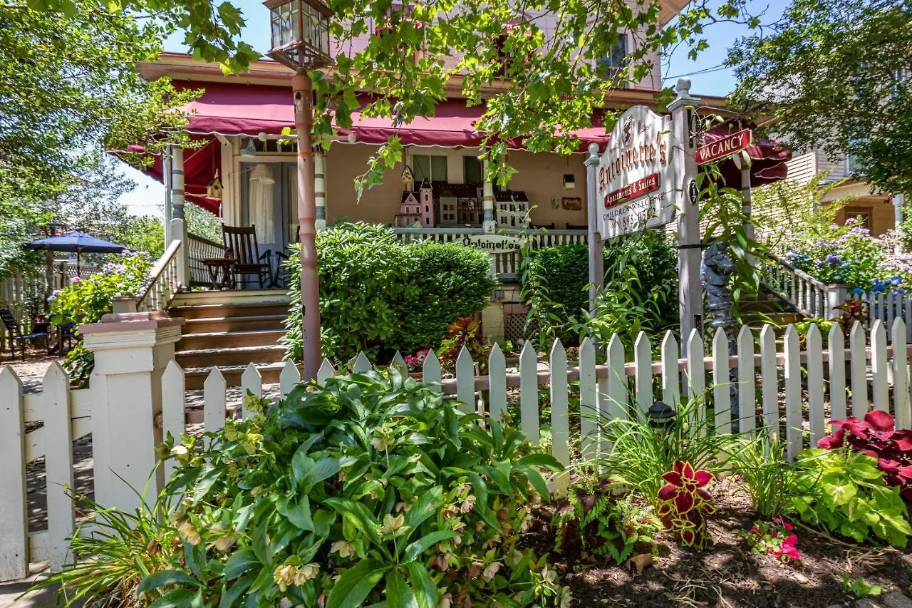 Guest house Antoinette's & Cape May