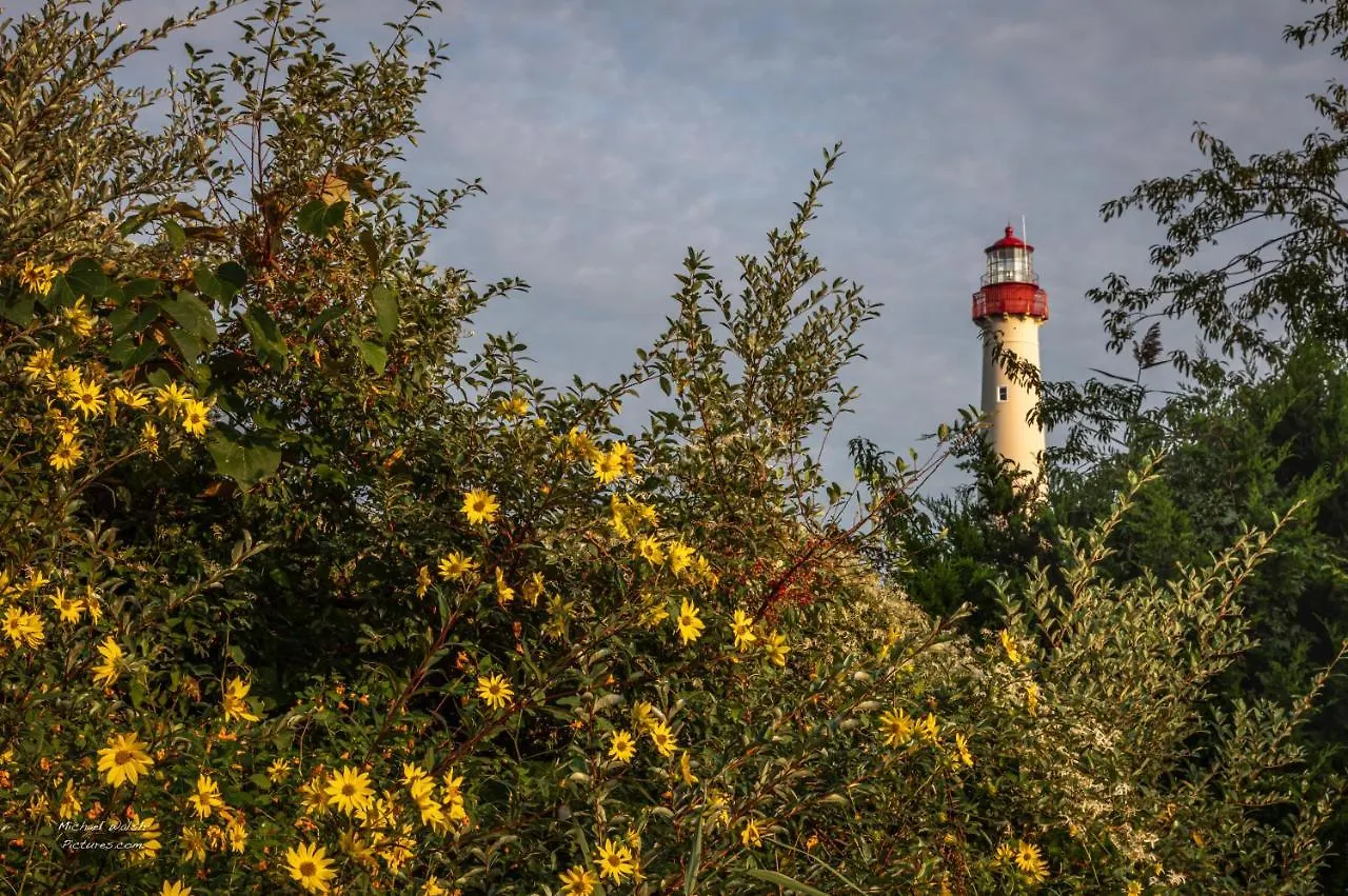 Antoinette's & 2* Cape May