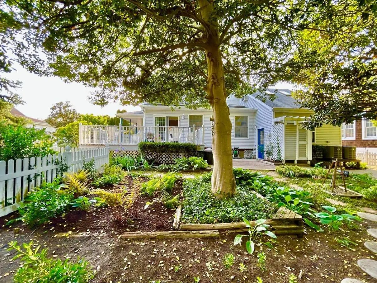 Tranquil Gardens Cape Private Steps Away *