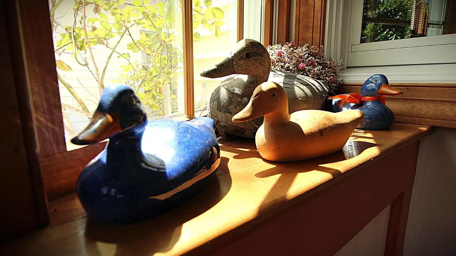 בית נופש The Duck Pond *