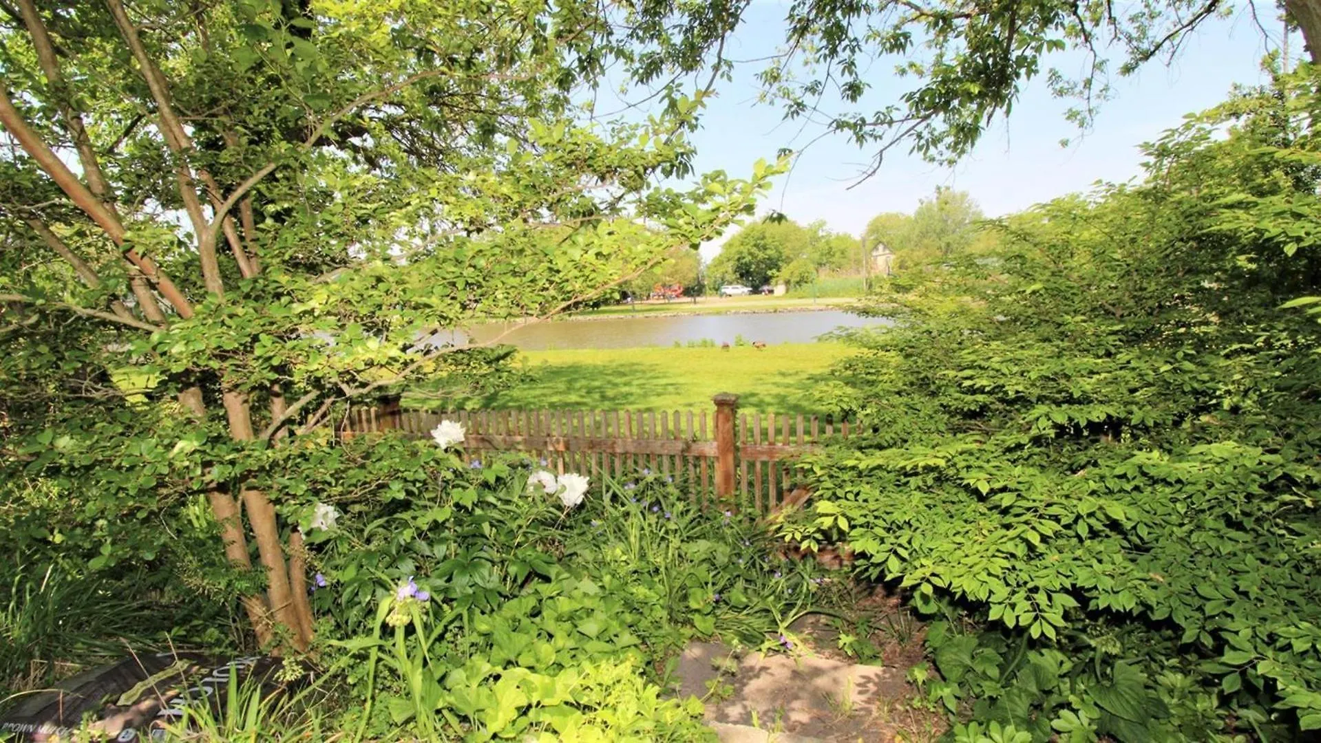 The Duck Pond * קייפ מאי
