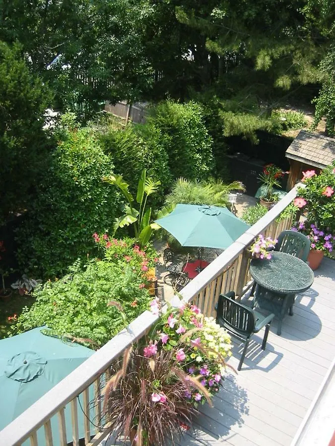Guest house Thomas Webster House *